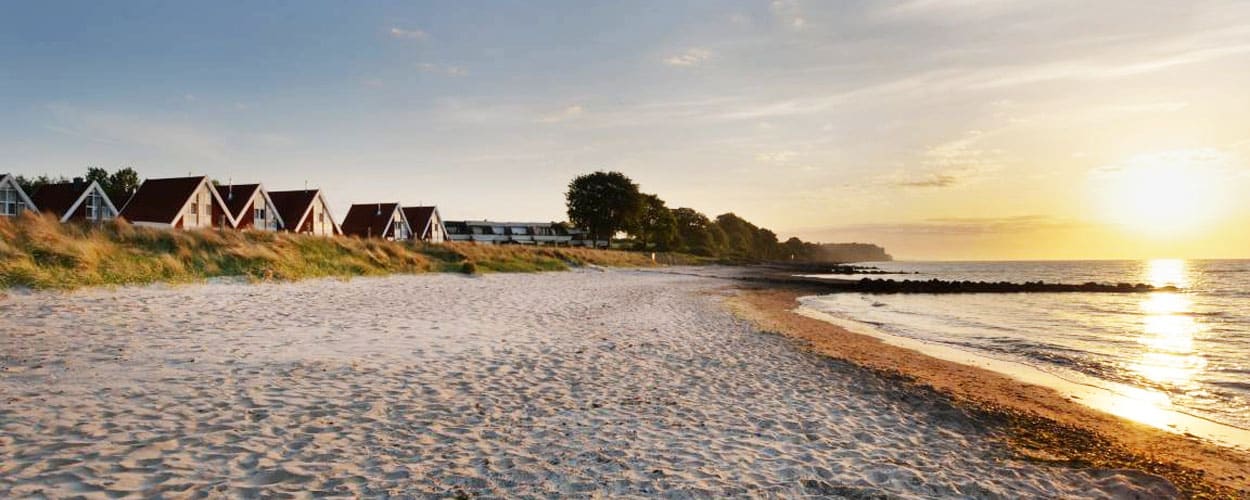 ferienhaus ostsee mit hund